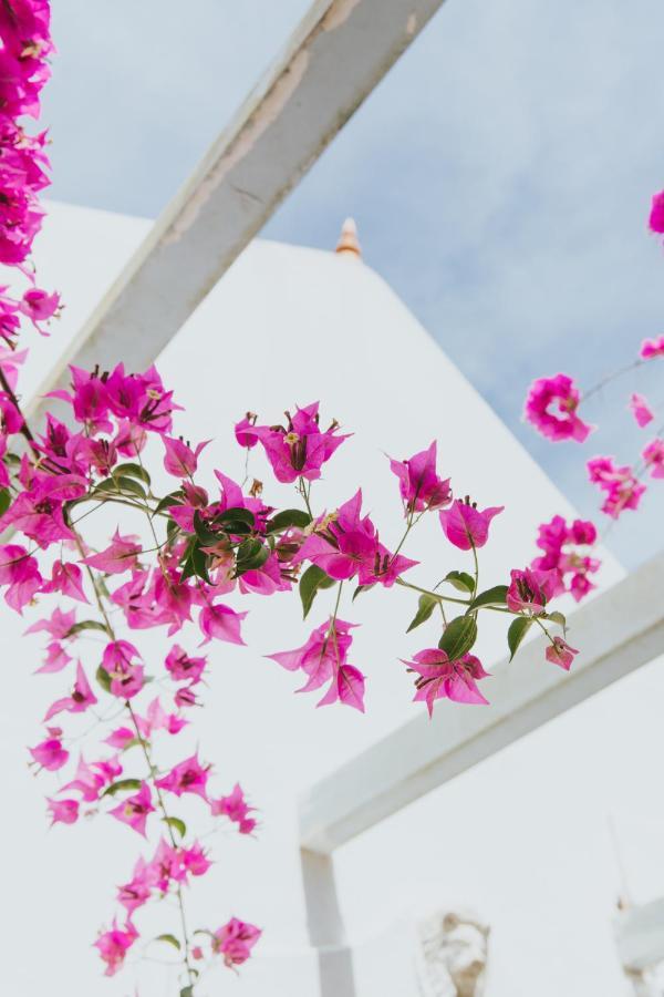 Senhora Do Cabo Meco Homy Holidays Sesimbra Exterior photo